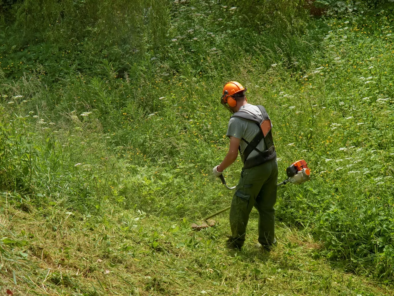 Man Cutting High Grass