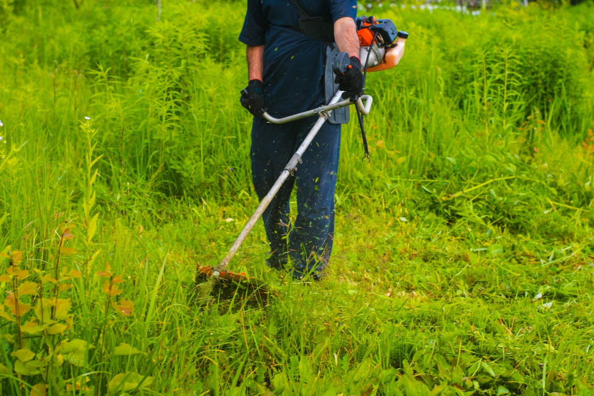 Man Mowing Grass With A Lawn Mower